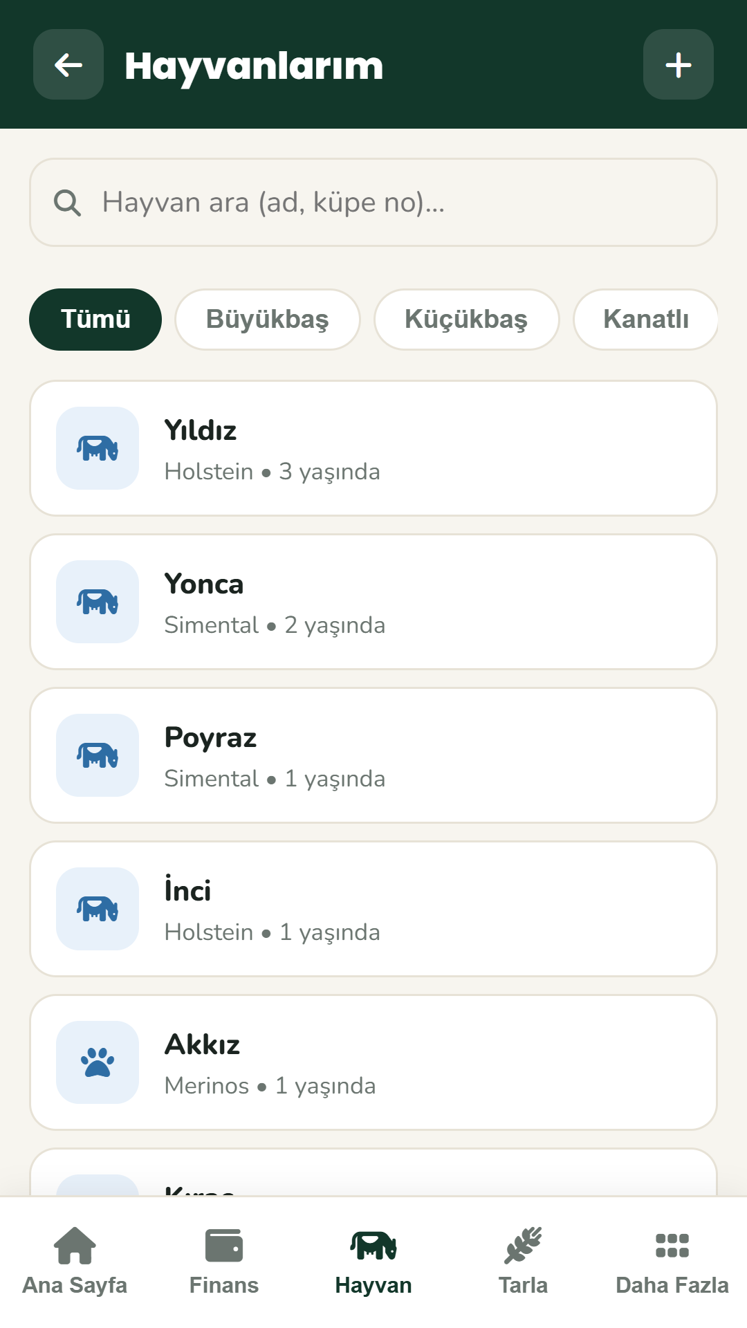 Bereket Hesap hayvan kayıtları